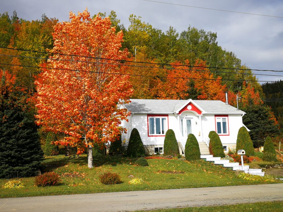 Cottages for rent in Gaspésie-îles-de-la-madeleine #4