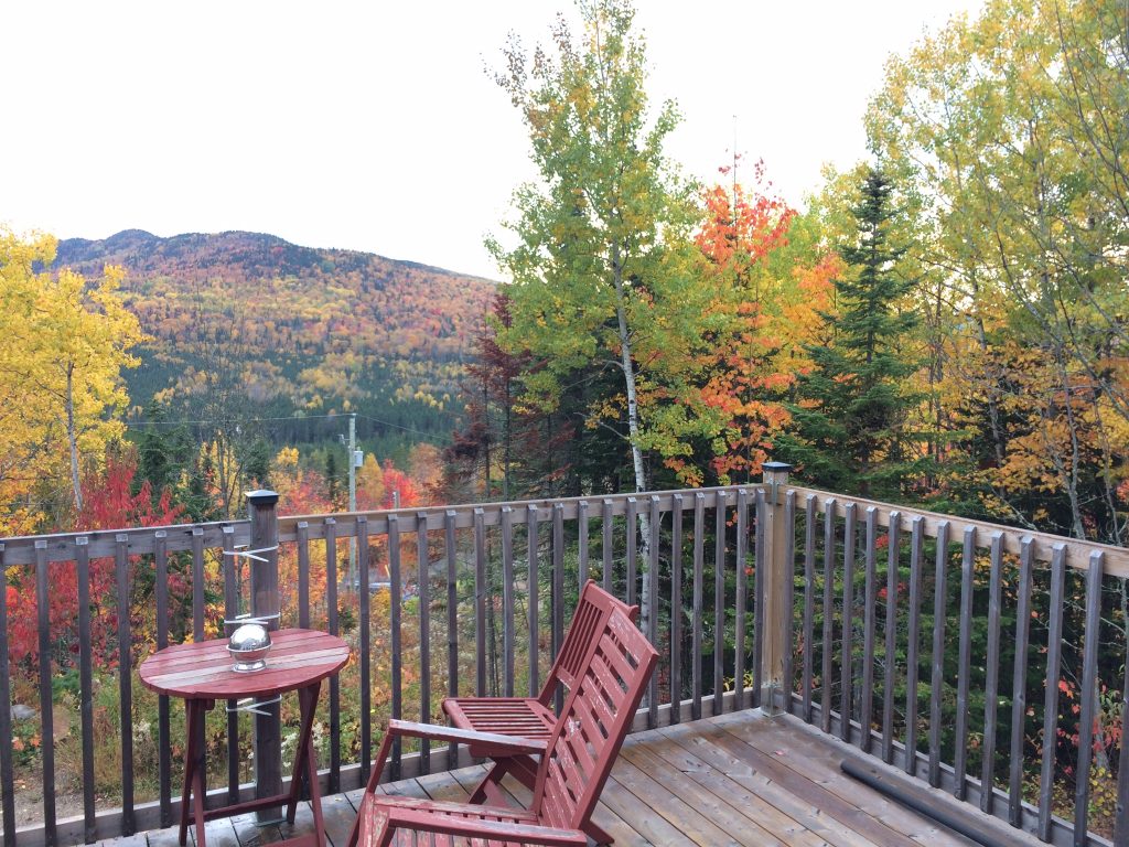 Cottages for rent for 7 people in Quebec #17