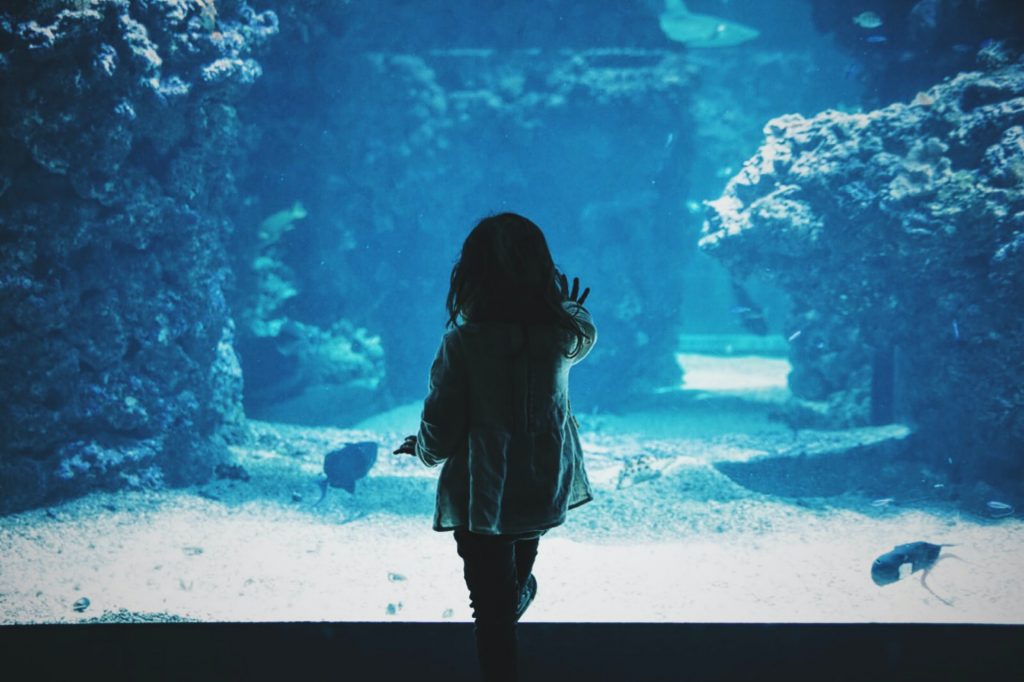 kid at aquarium park