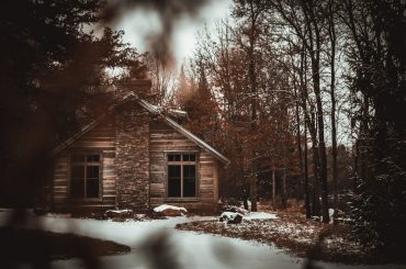 cabin surrounded by trees