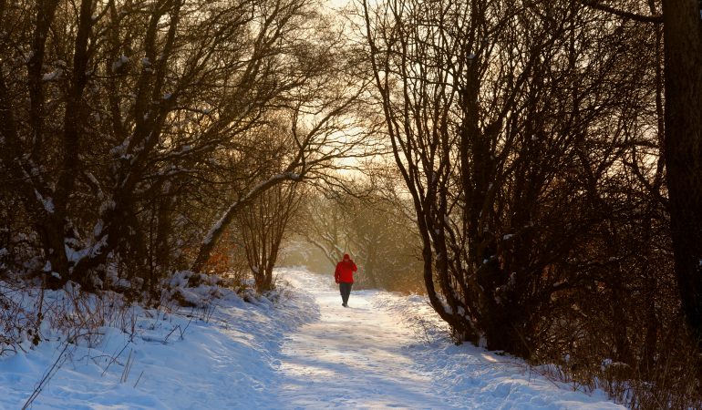 Winter Adventures in Sutton