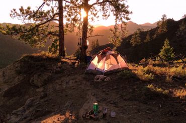 Camping Wonderland